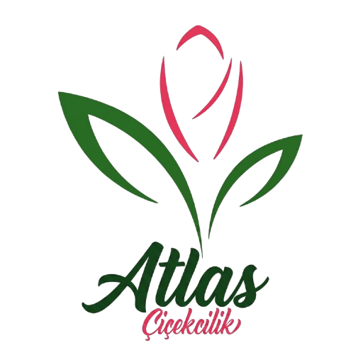Atlas Çiçekçilik